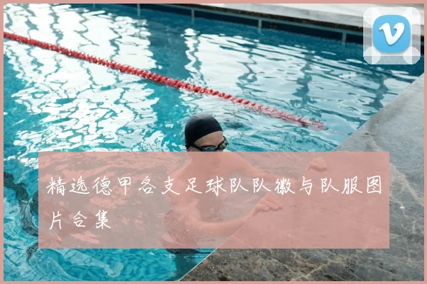 精选德甲各支足球队队徽与队服图片合集