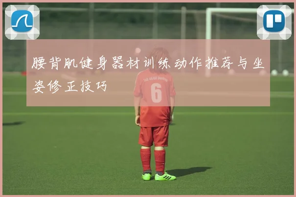 腰背肌健身器材训练动作推荐与坐姿修正技巧