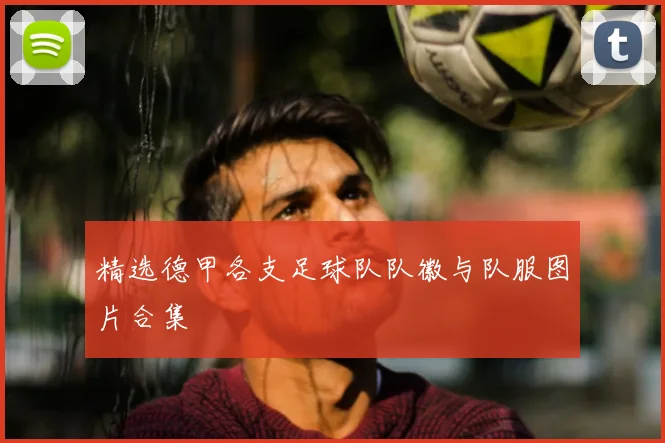 精选德甲各支足球队队徽与队服图片合集